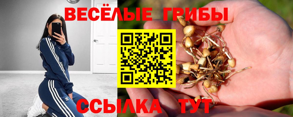 Галлюциногенные грибы прущие грибы  Вход с VPN  Балаково 